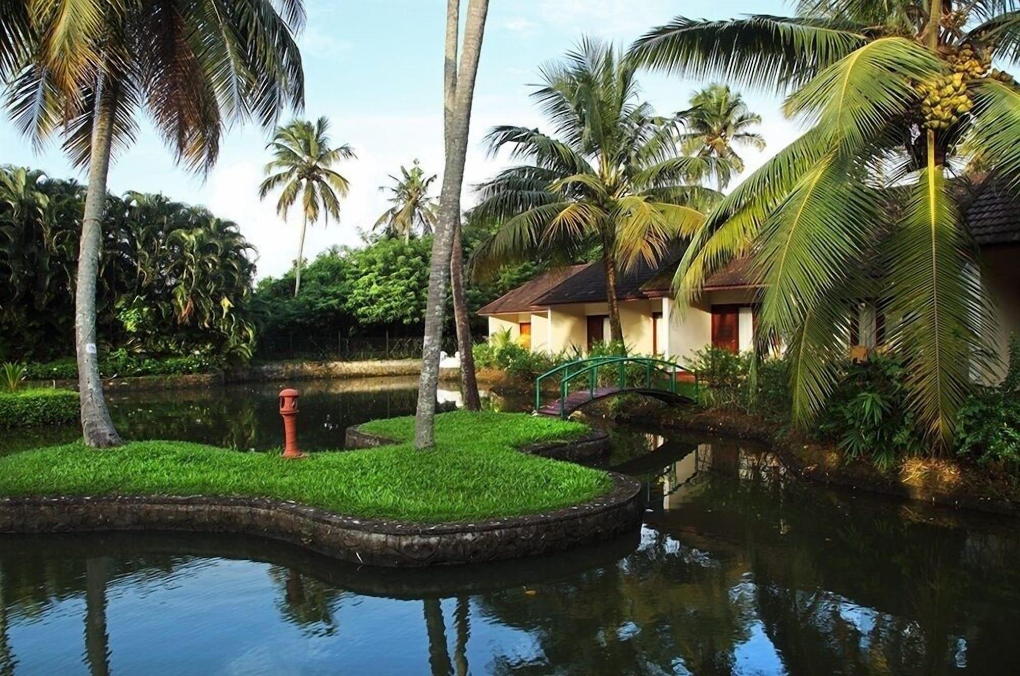 Abad Whispering Palms