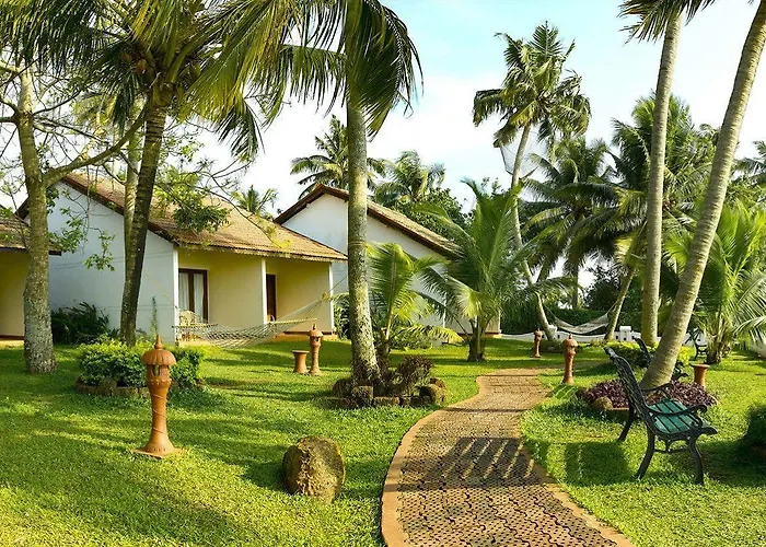 Abad Whispering Palms
